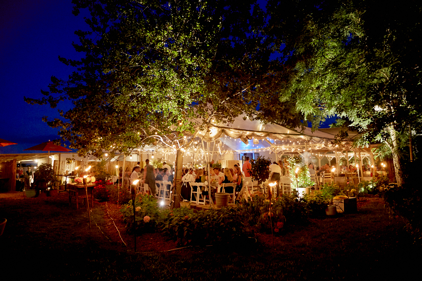 a plate of food on a table