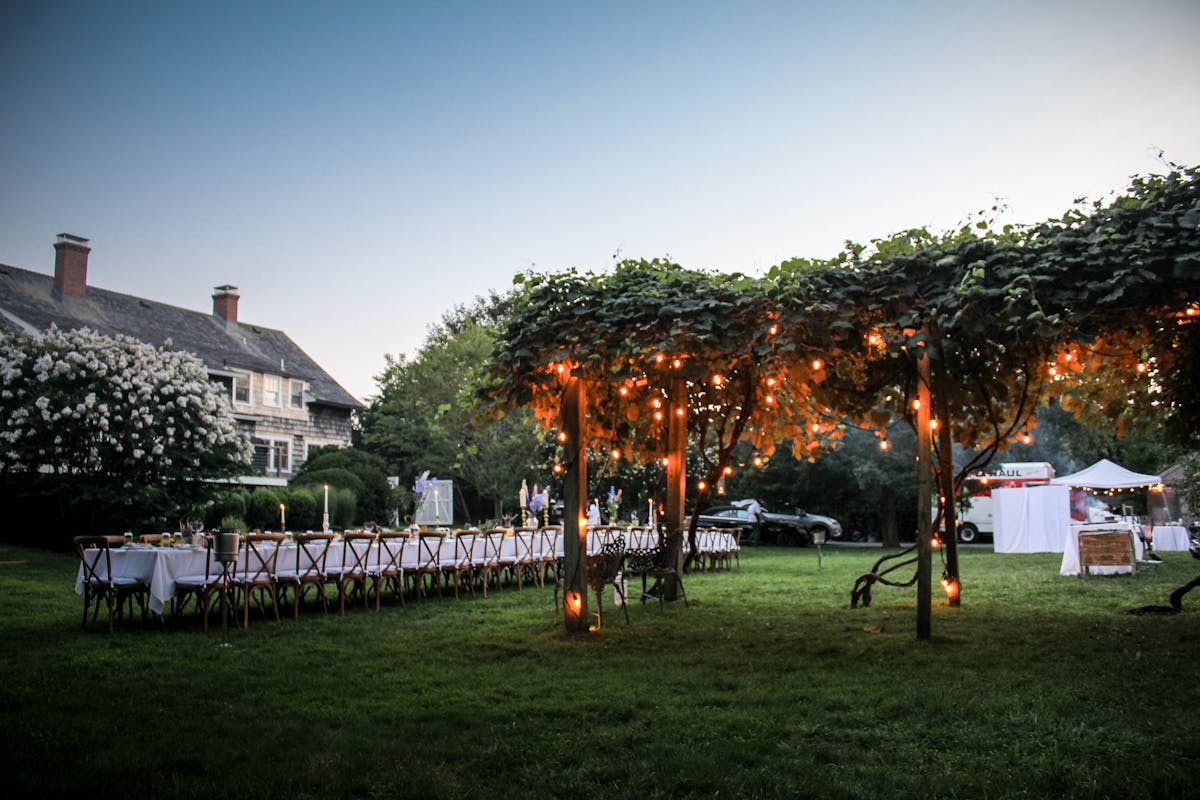 trees with lights in a garden with event tables