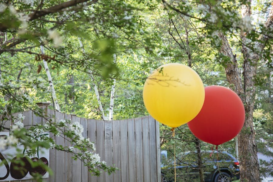 Coming Soon Mr. Paul's Supper Club Seafood, Cajun Restaurant in