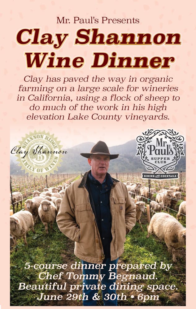 a man holding a book