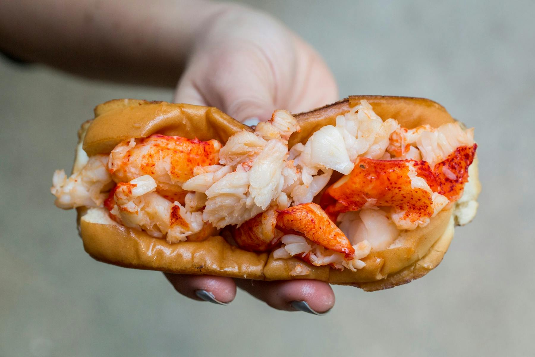 a hand holding a piece of food