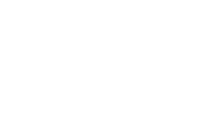 Lincoln Park High School Logo