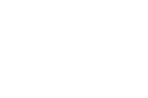 PAWS Chicago Logo