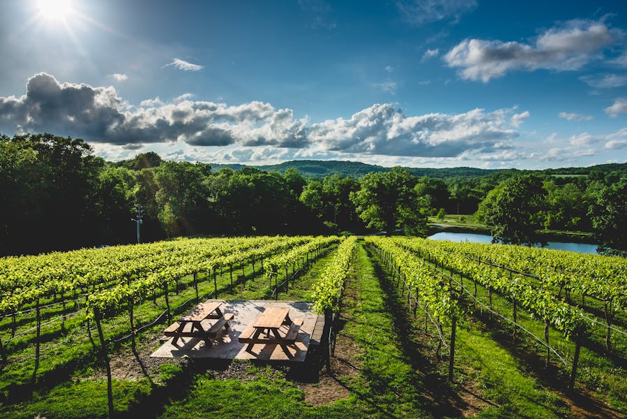 Perennial Artisan Ales Chandler Hill Vineyards In Defiance Mo