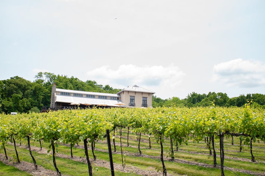 Wine Club Chandler Hill Vineyards