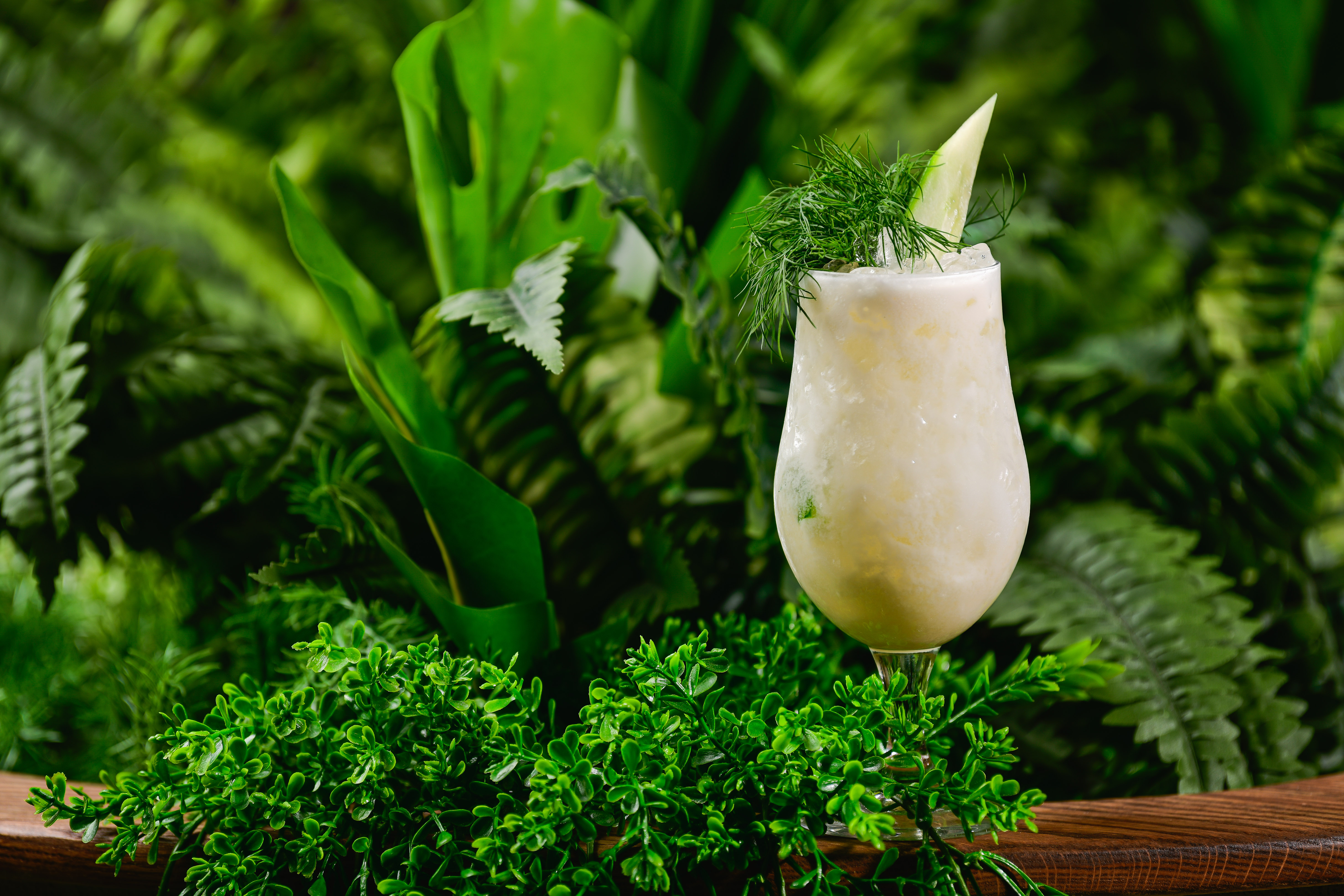 a close up of a green plant