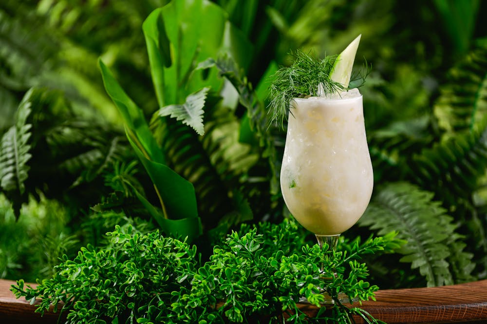 a close up of a green plant