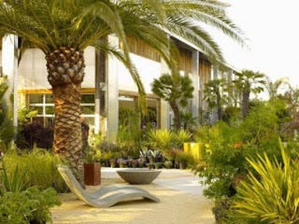 a resort showing palm trees and a seat