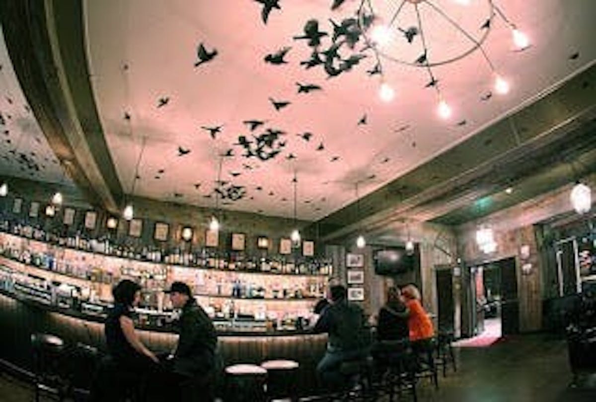 a bar with birds flying around