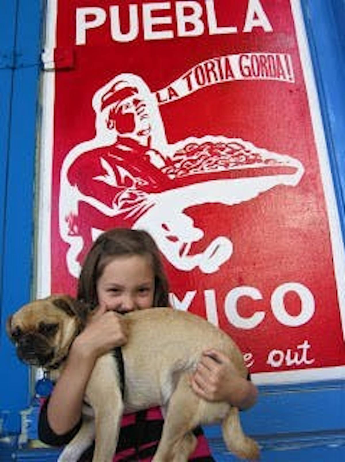 a kid holding a small dog