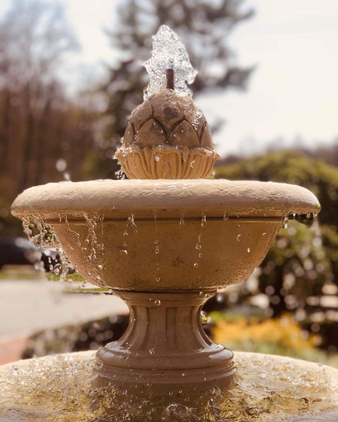 a fountain in a park