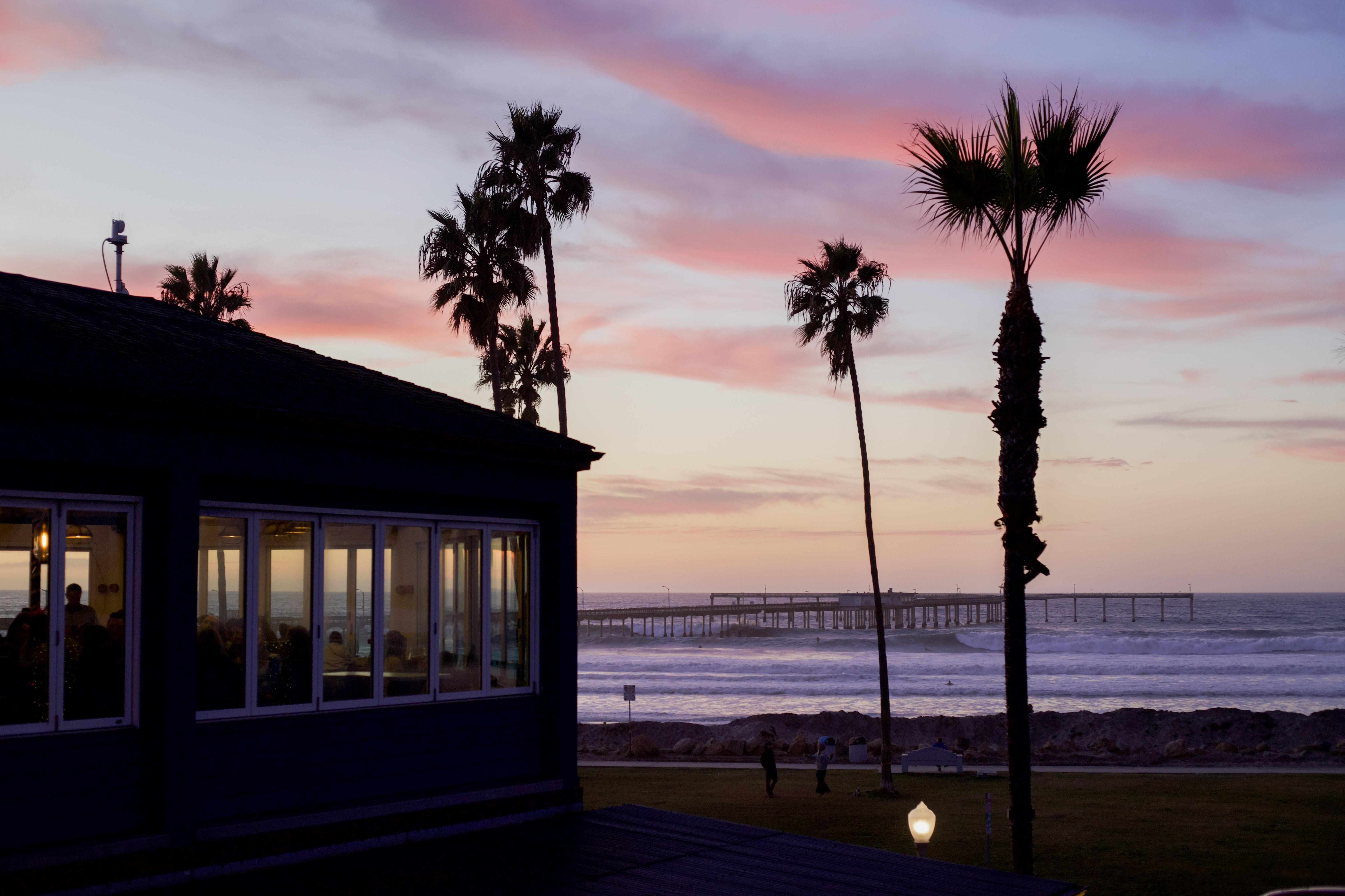 a sunset over a body of water in front of a palm tree