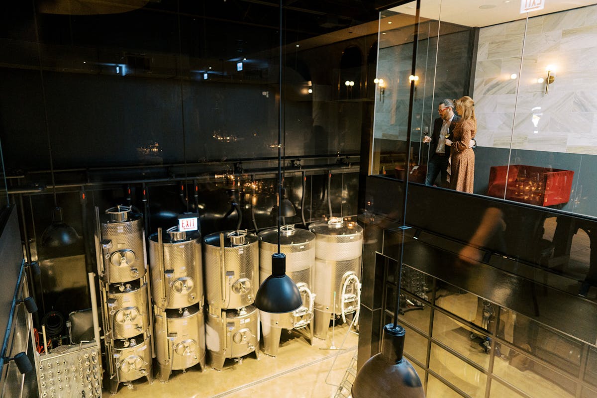 a group of people performing on a counter