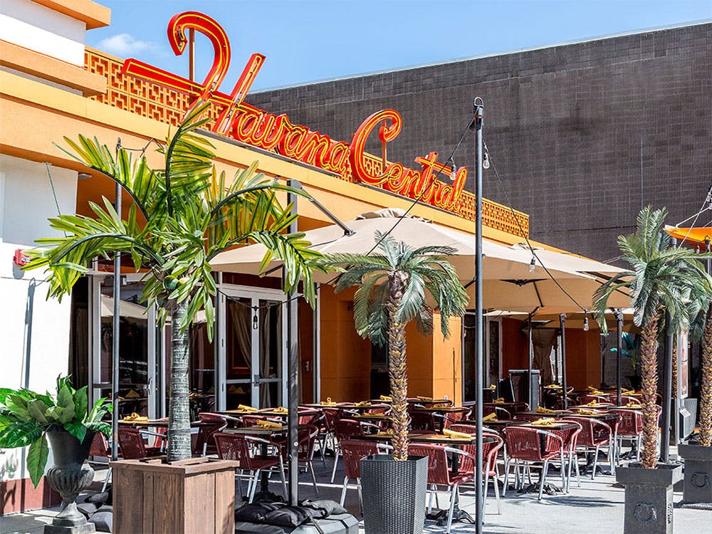 Cuban restaurant serving Cuban catering near Garden City, New York at a special event.