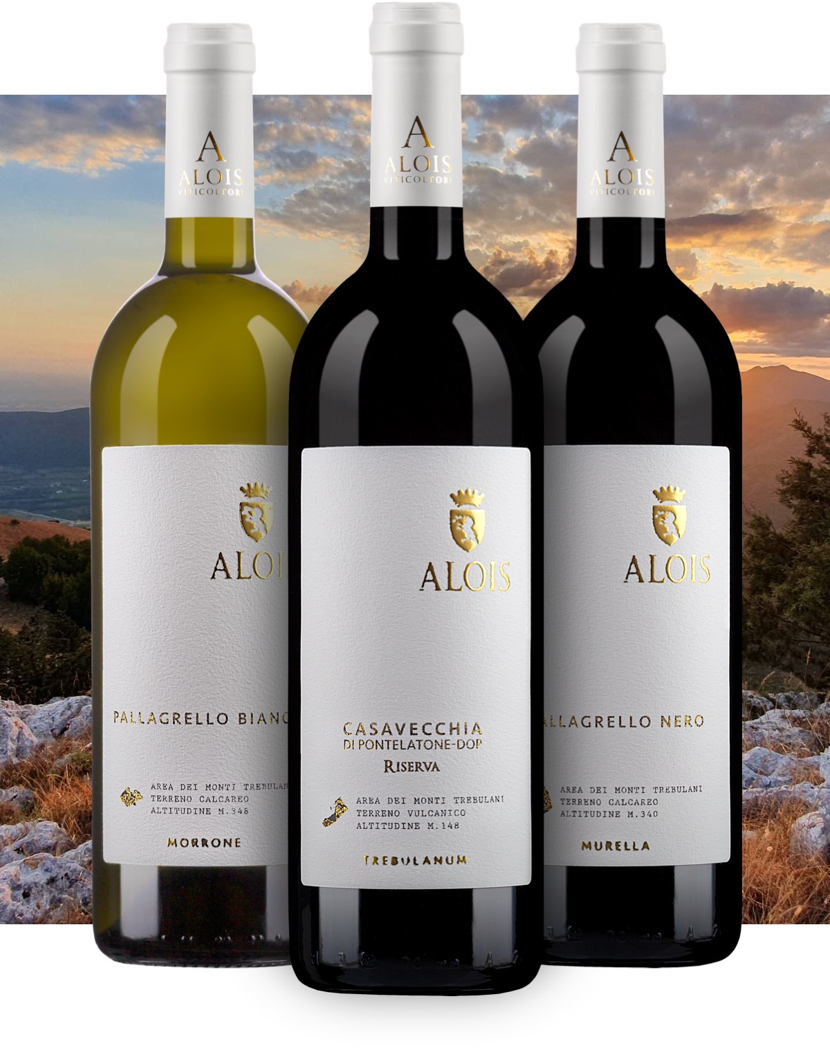 a group of wine bottles