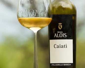 a glass of wine next to a bottle