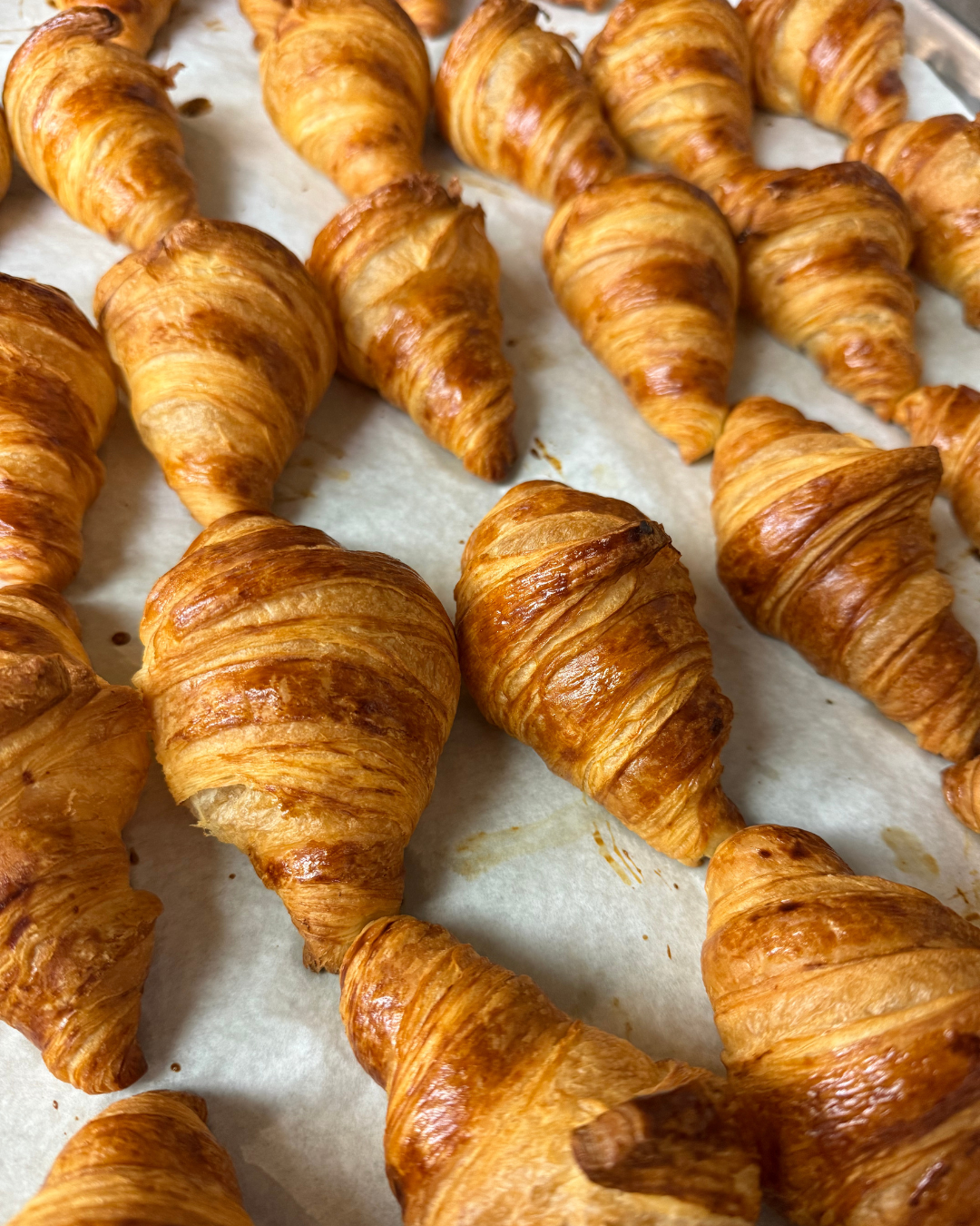a bunch of croissants