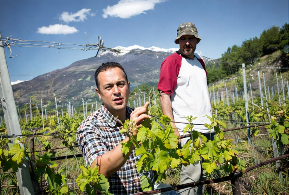 two men on a wine farm