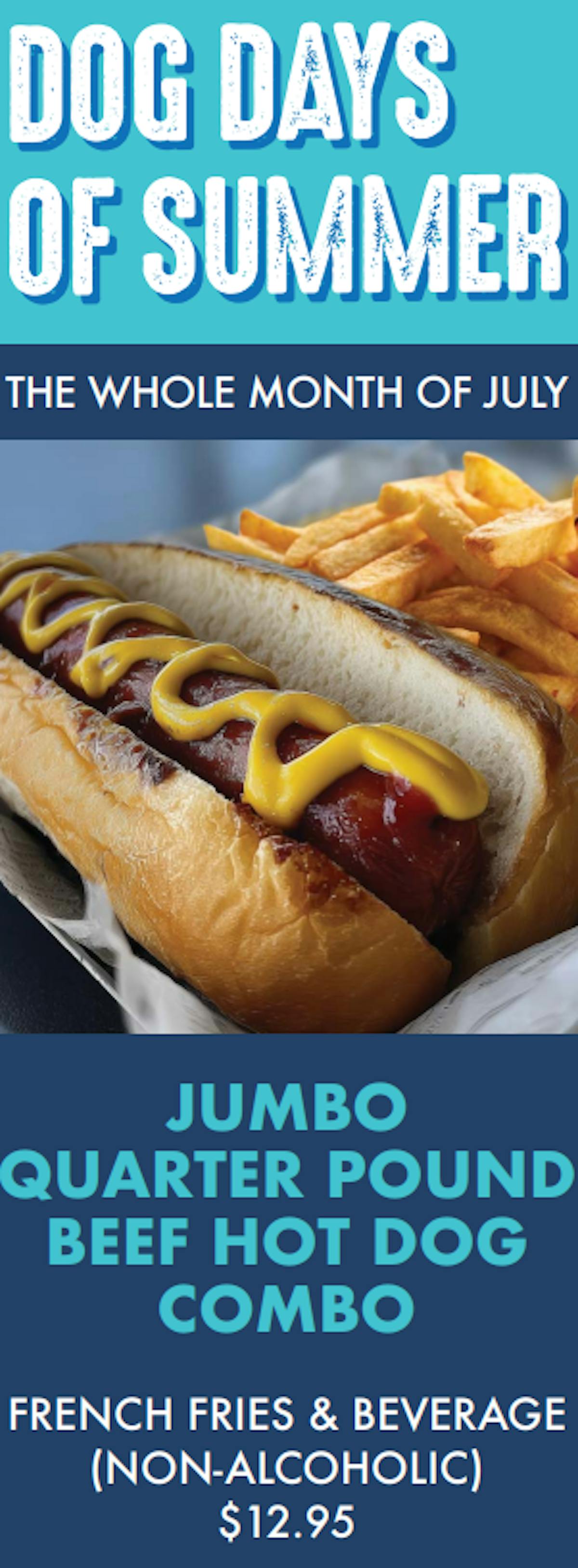 a hot dog on a bun next to some fries