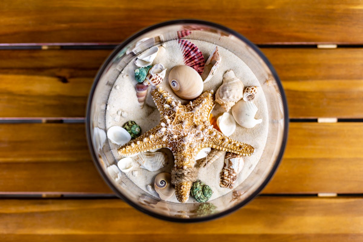 a plate of food on a wooden table