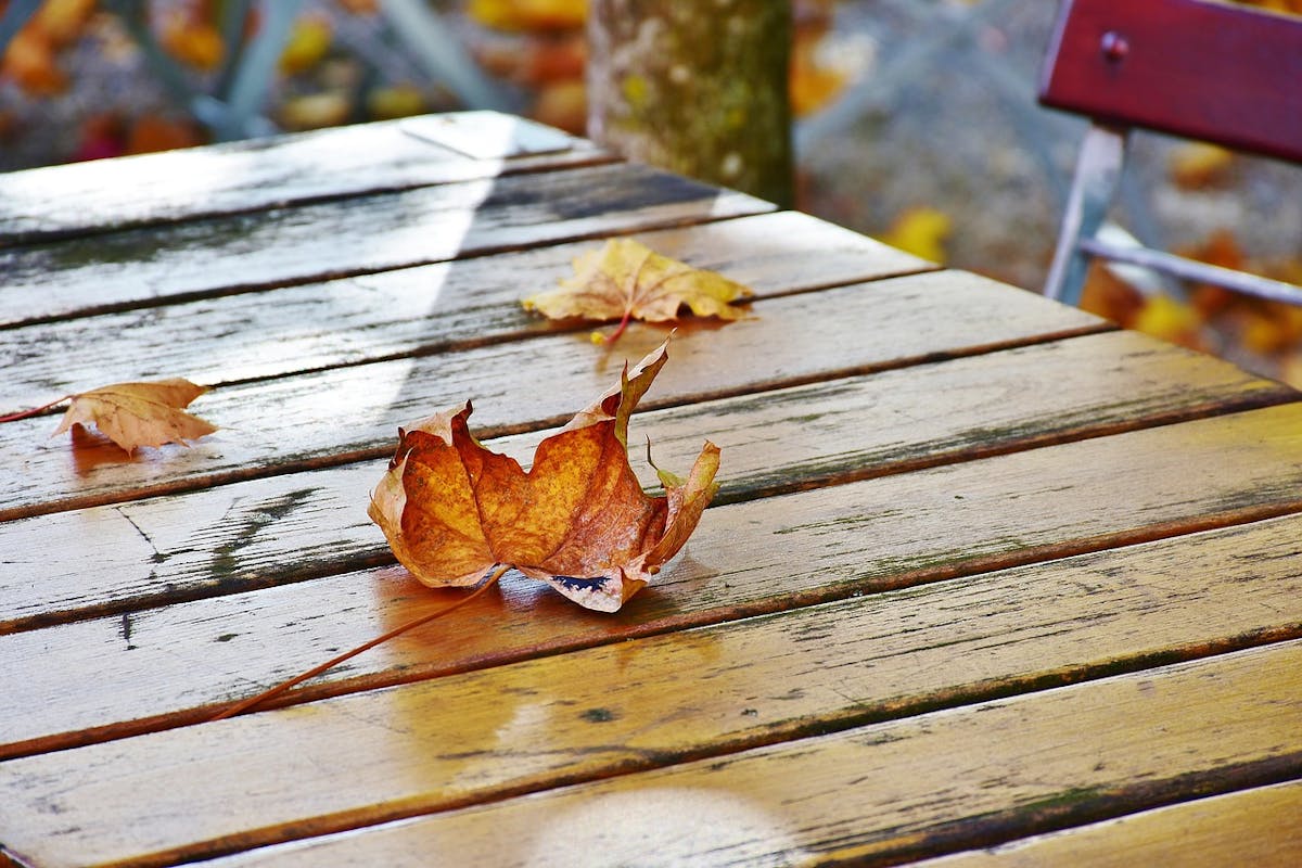 leaf table