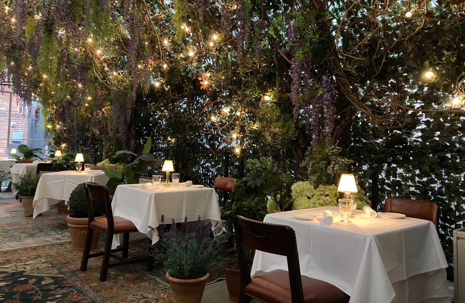 a christmas tree in a forest