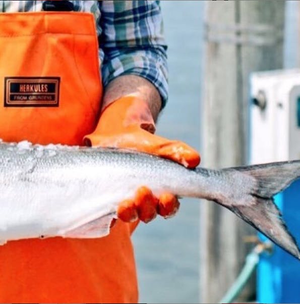 a person holding a fish