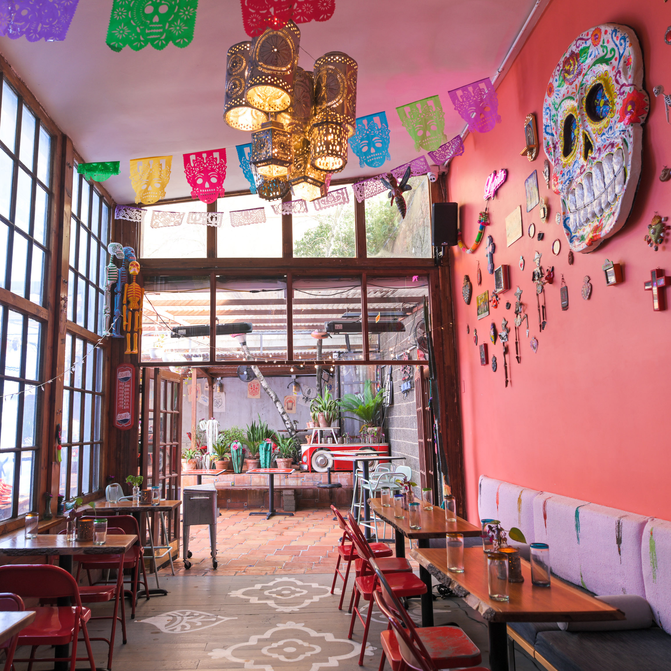 About Us | The Cactus Shop in Brooklyn, NY