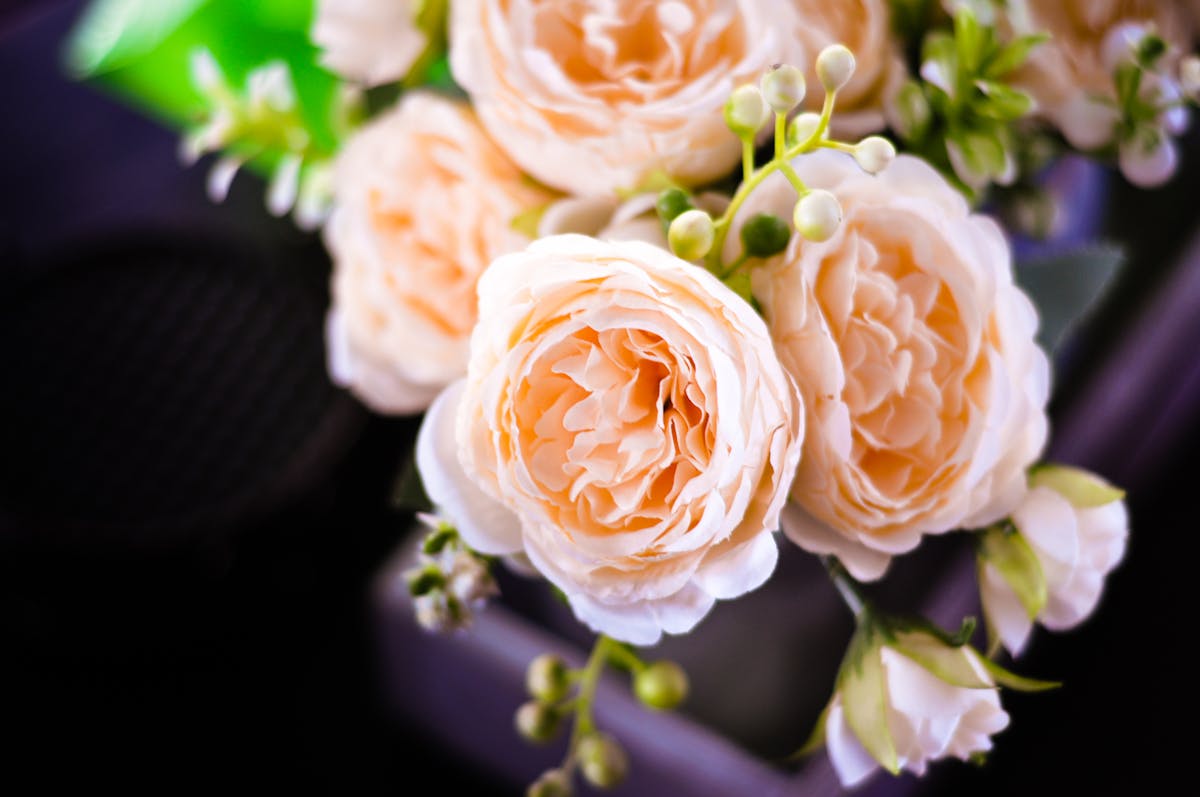 a close up of a flower