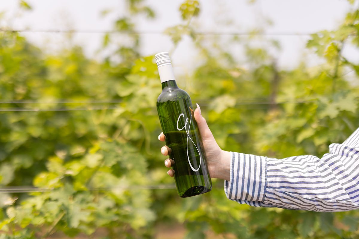 a hand holding a bottle
