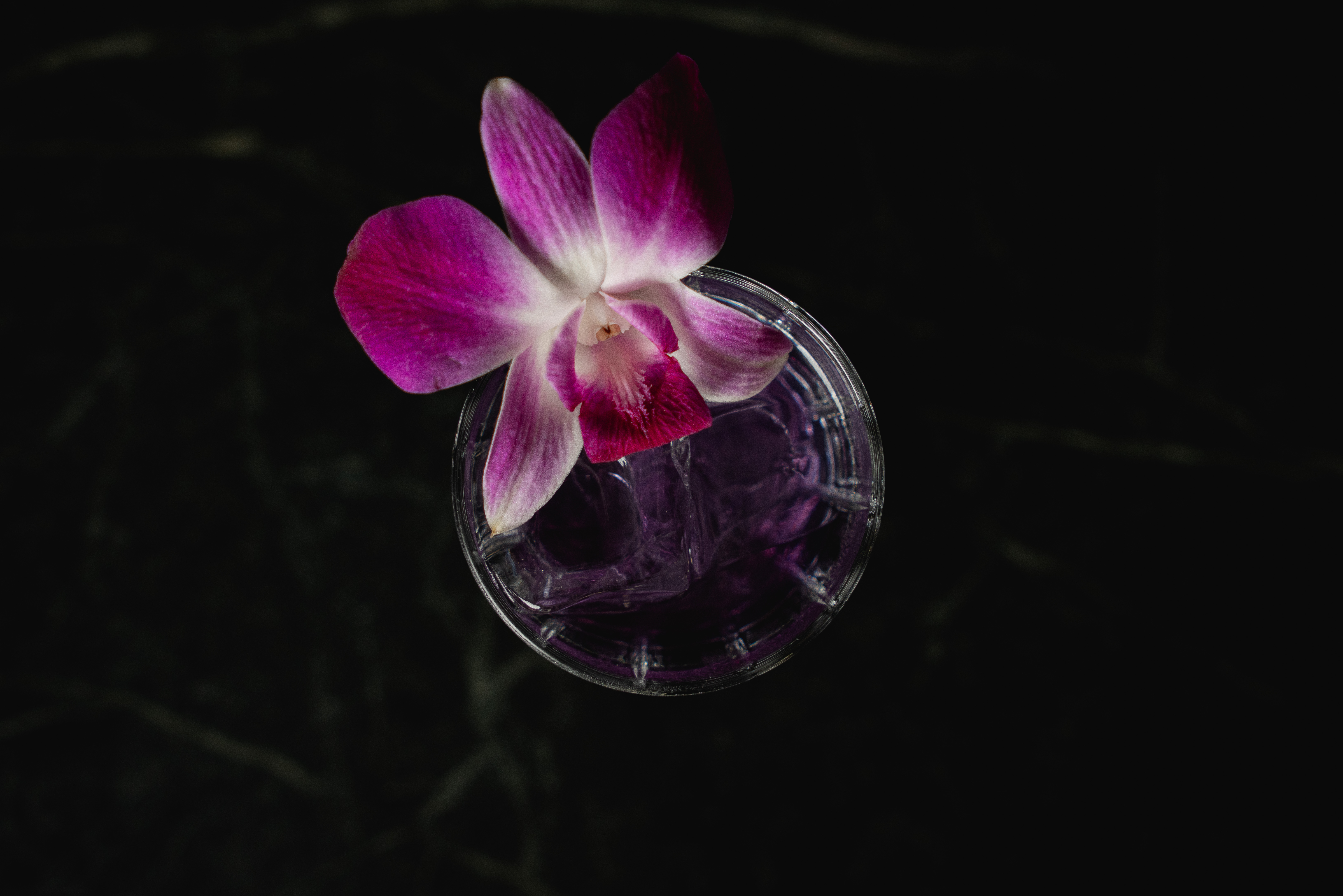 Gallery Slide 4