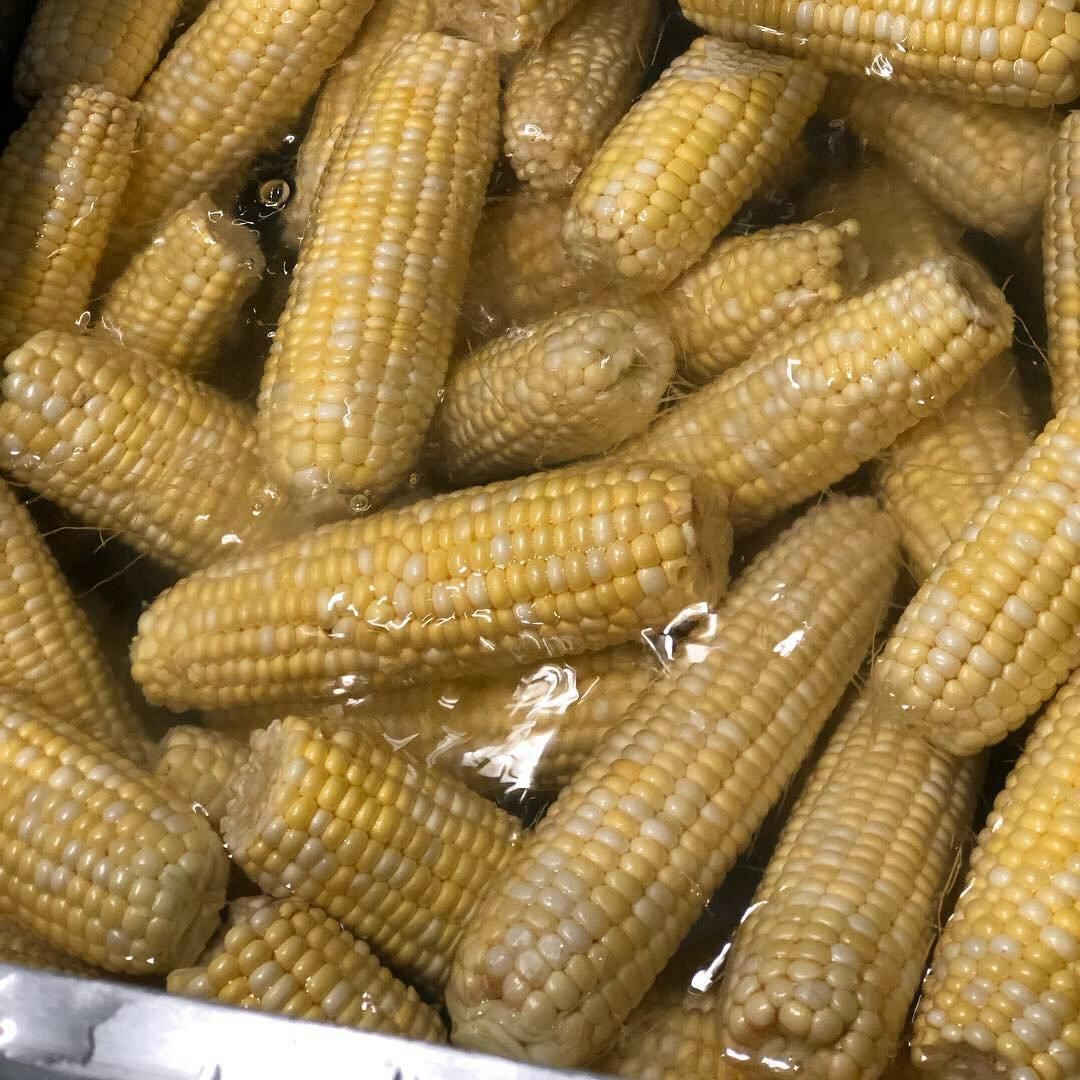 corns on the cob