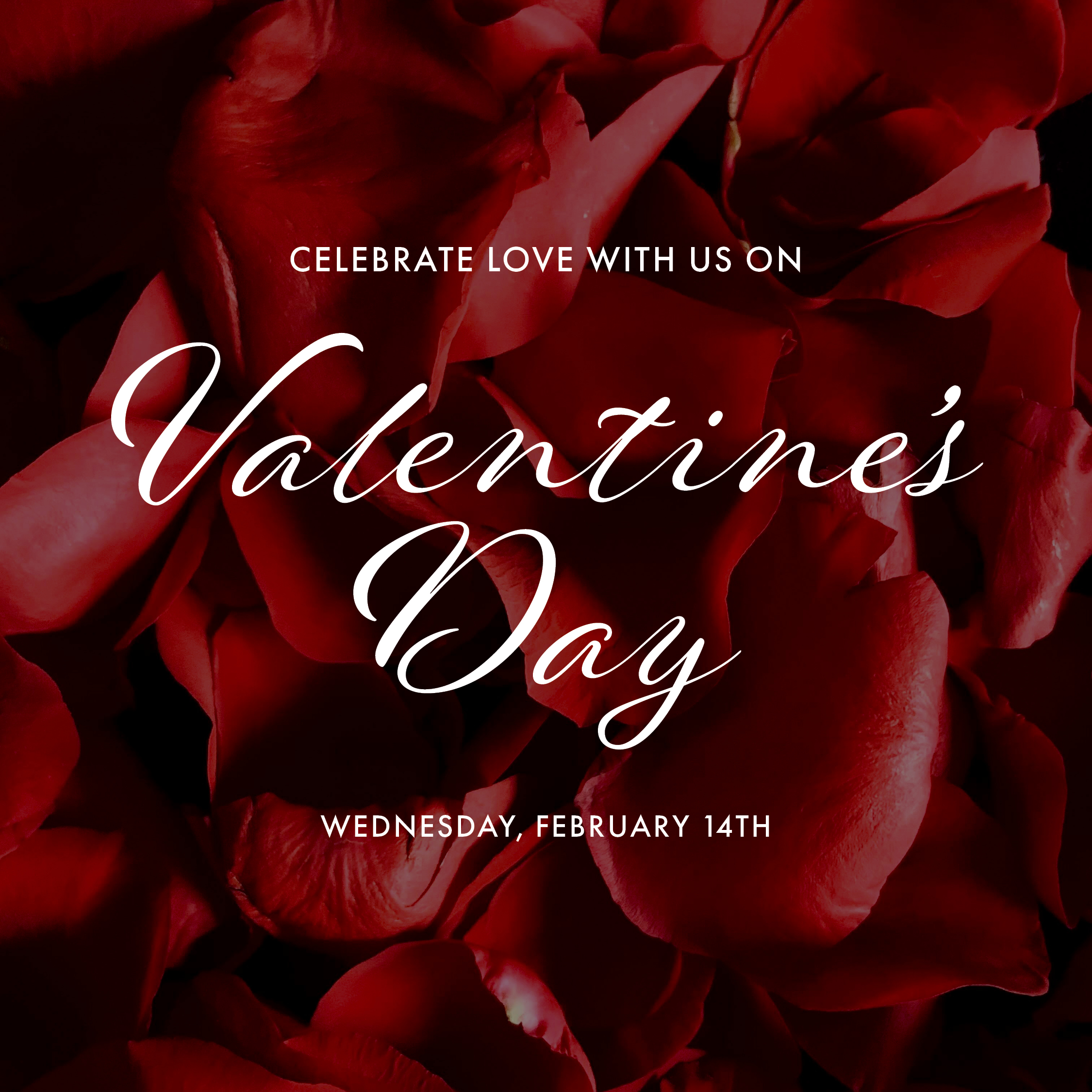 Valentine's Day Dinner Experience at Odyssey