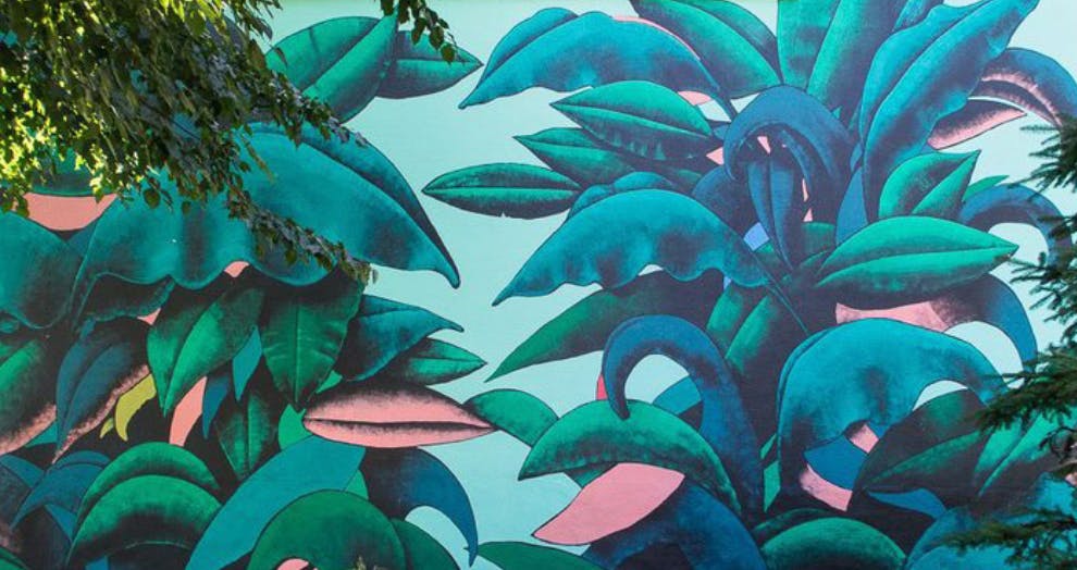 a group of palm trees
