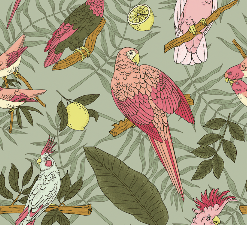 Newport Beach Cafe Parakeet Cafe Healthy Food & Drinks in La Jolla