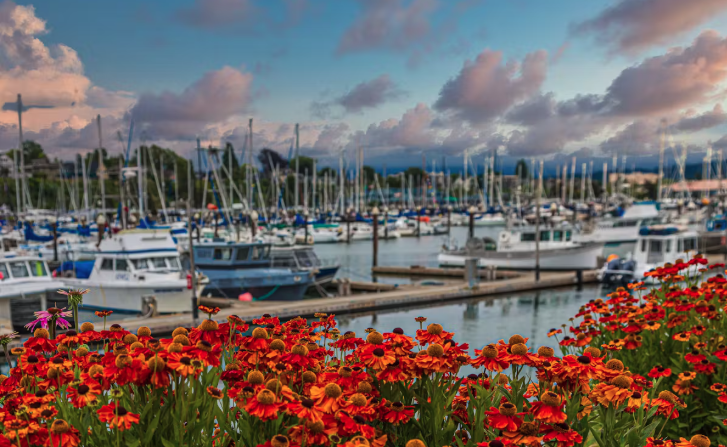 Merchants Marina waterfront dining
