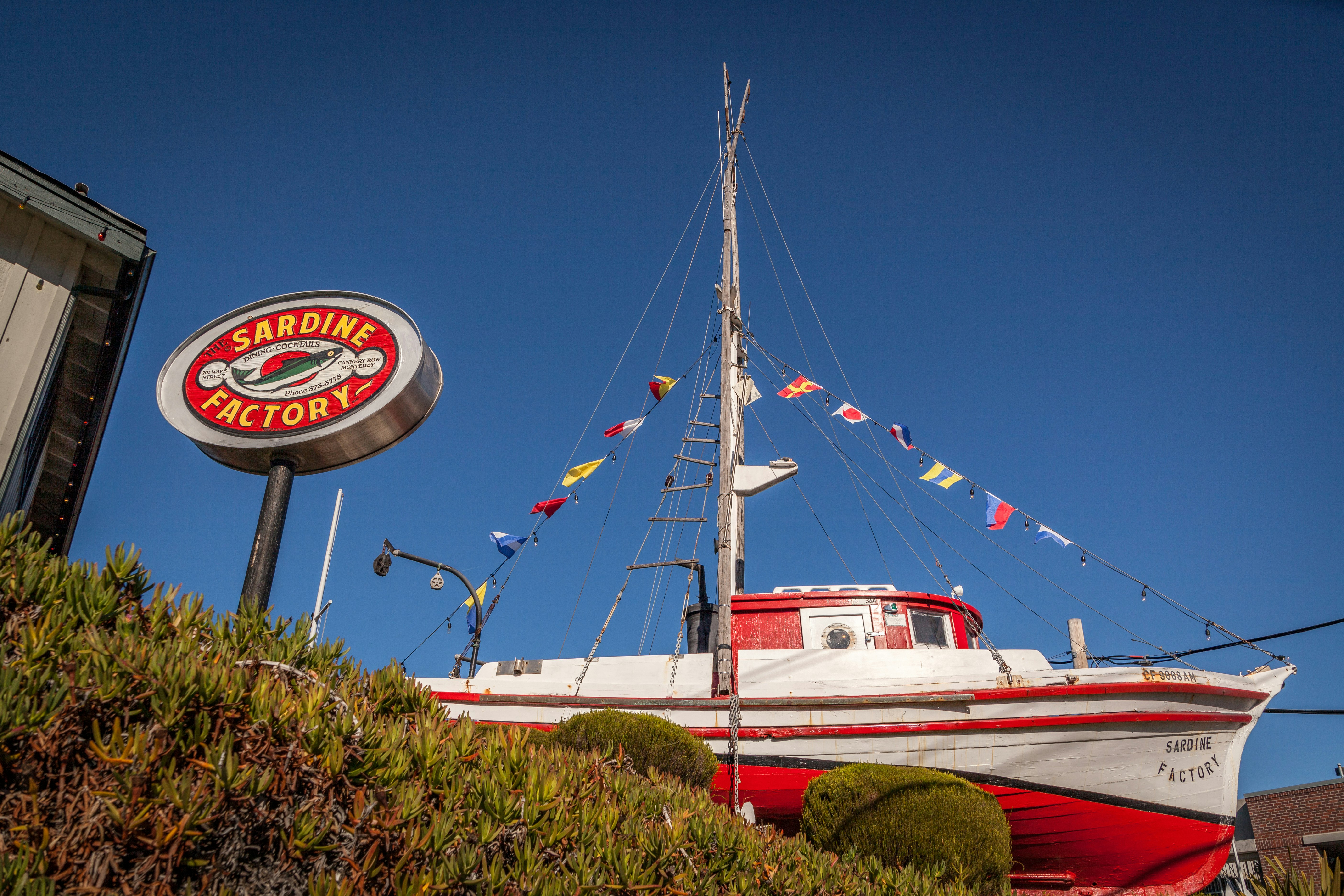 Sardine City: Your Unforgettable Northern California Camping Adventure