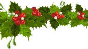 a close up of a flower