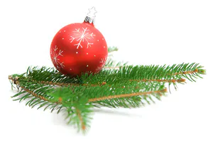 a sign on the side of a tree