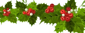 a close up of a flower