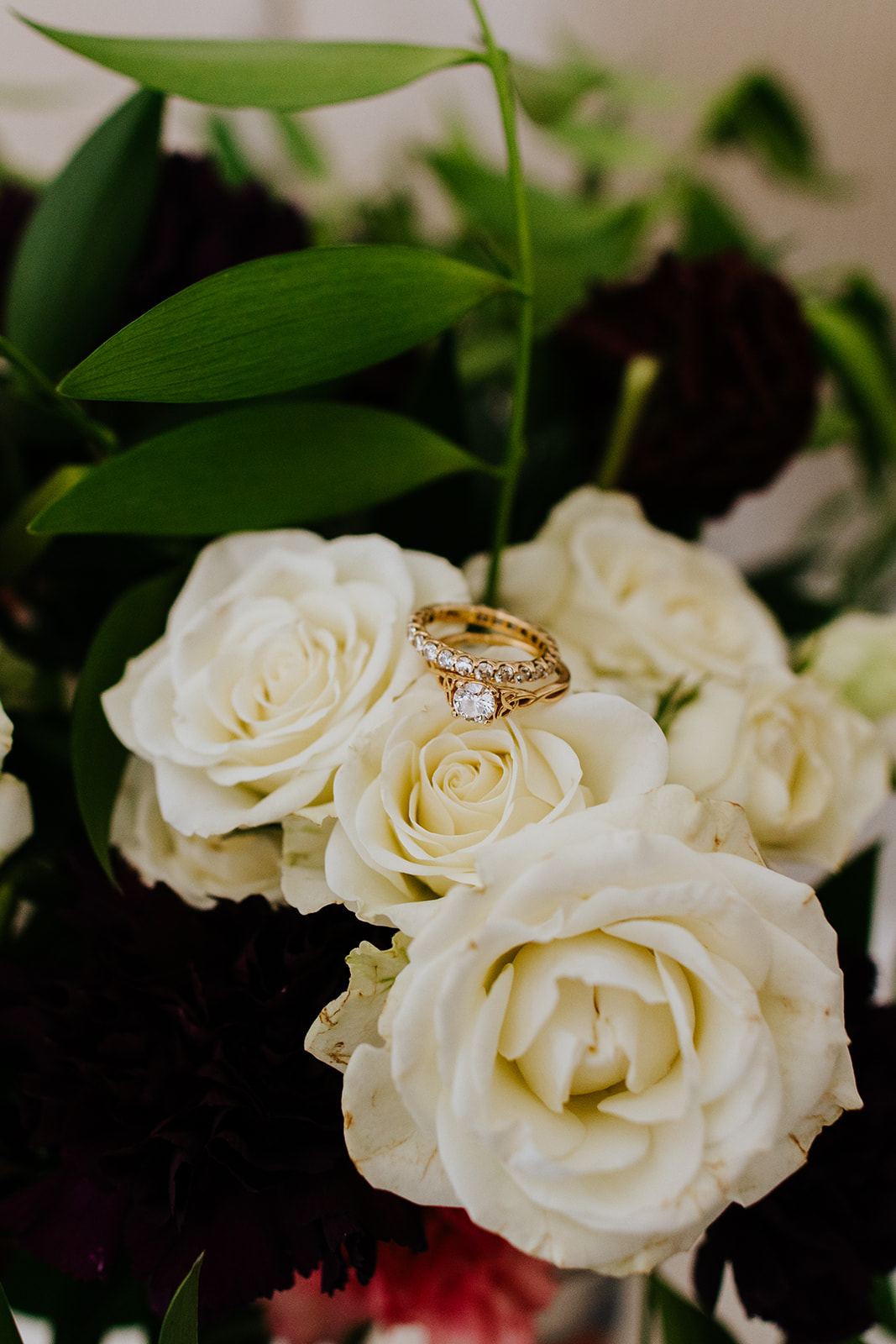a close up of a flower