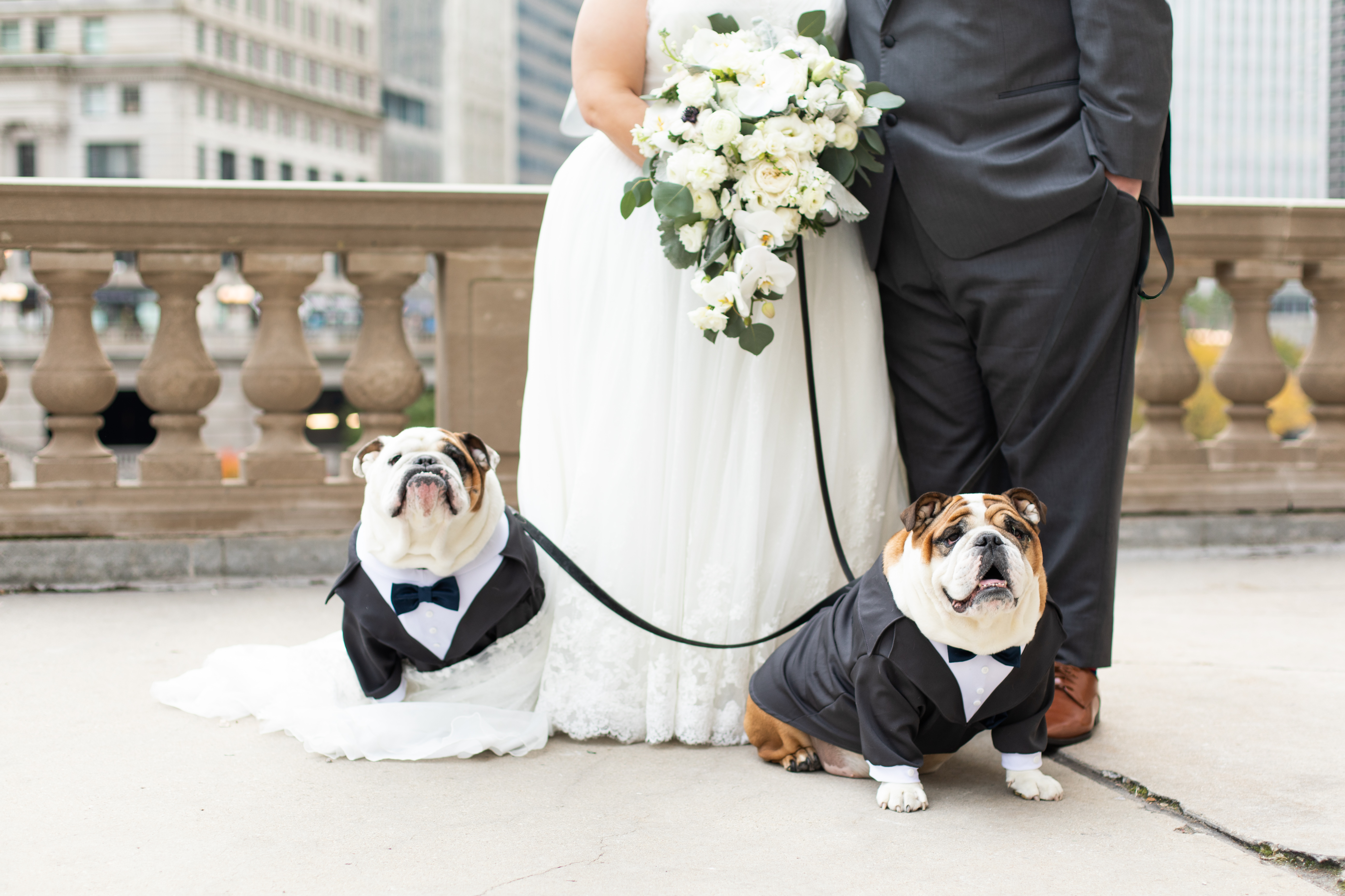 a person and a dog posing for the camera