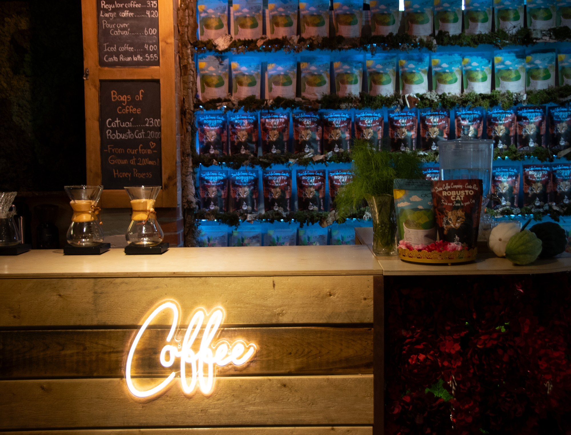 a store shelf filled with books