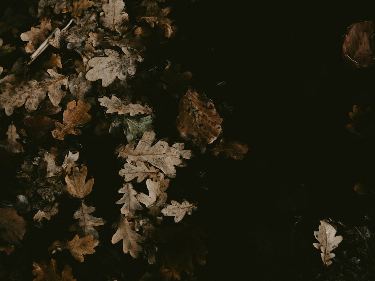 September air