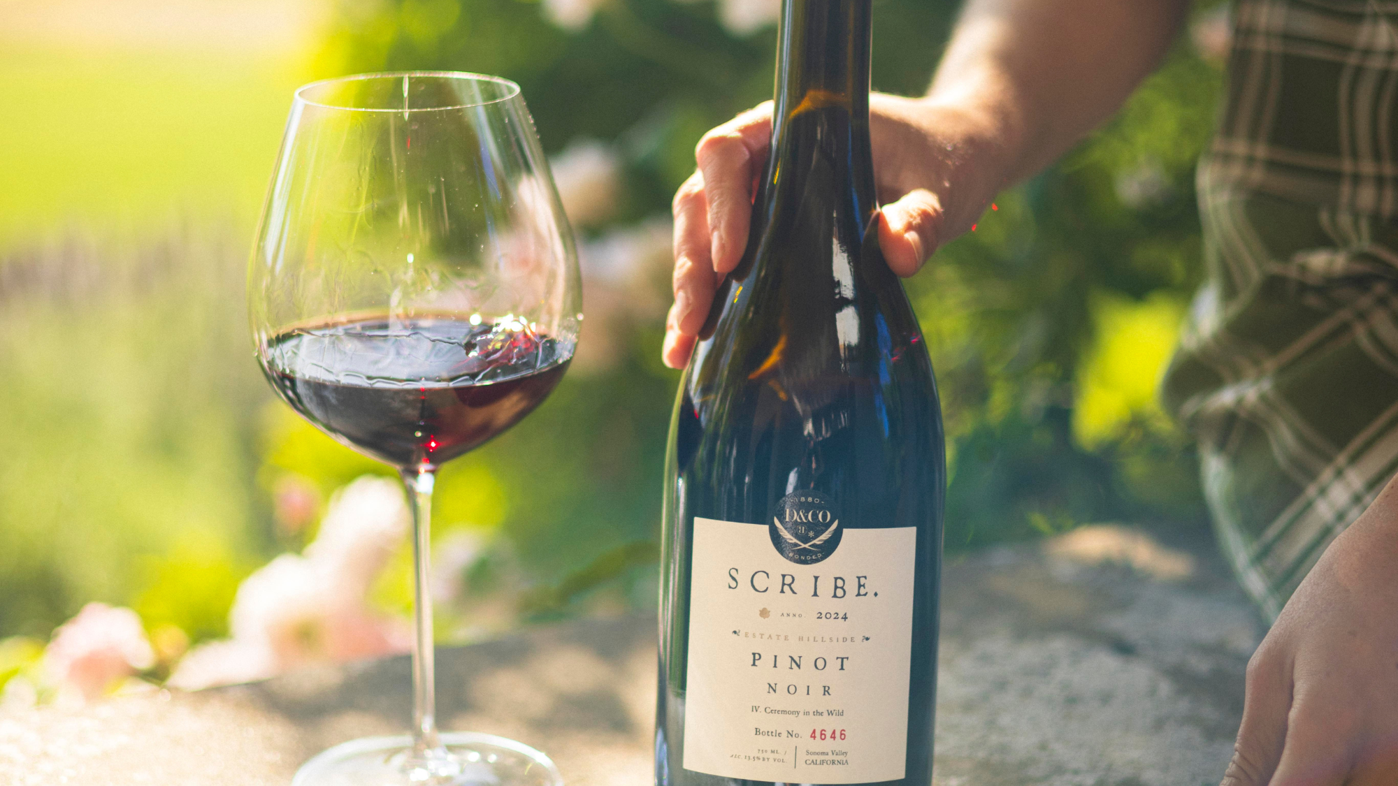 scribe pinot bottle and glass
