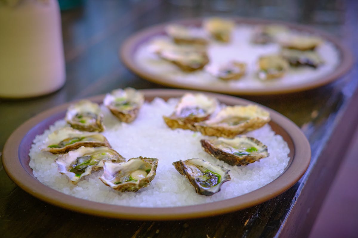 two plates of charter oak oysters on ice