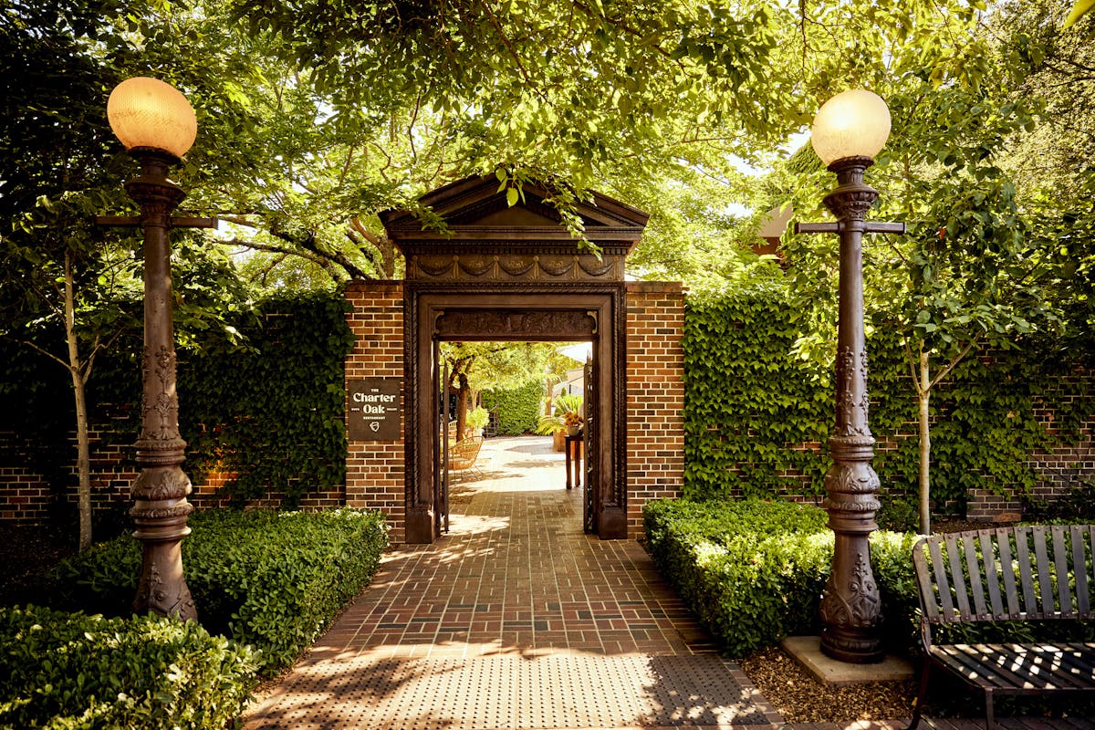 the charter oak entrance with overhead trees and vines