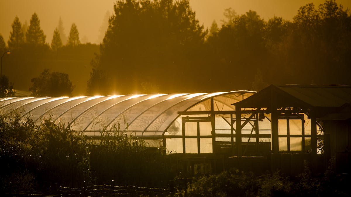 a bridge over a body of water