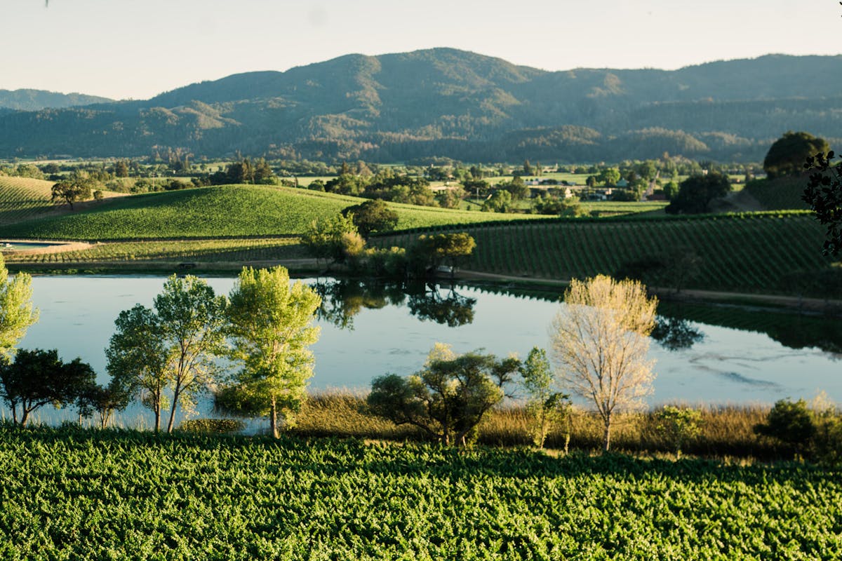 a view of a body of water with a mountain in the background