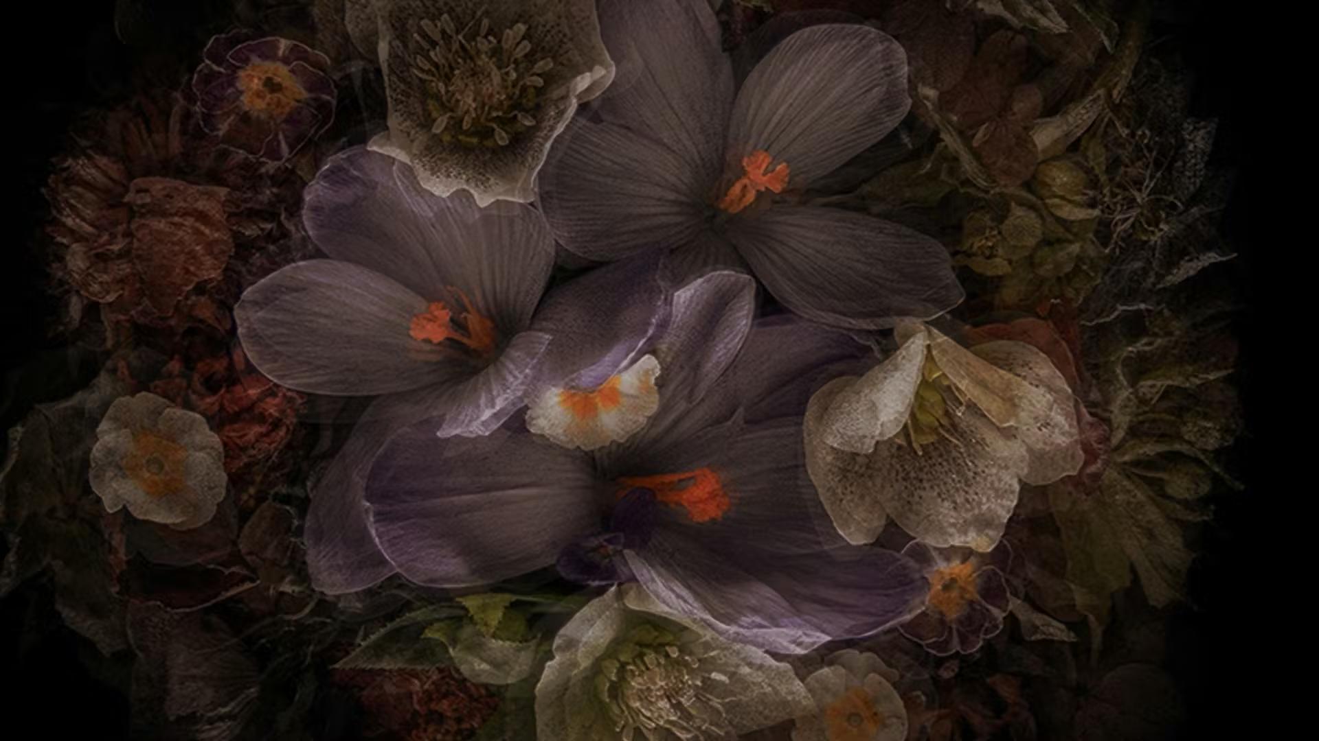 beautiful floral pattern